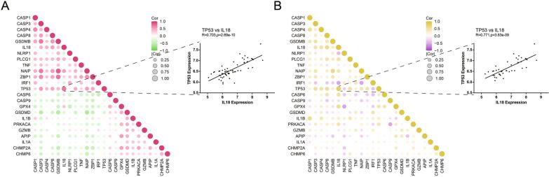 https://cdn.ncbi.nlm.nih.gov/pmc/blobs/50d8/10360355/00225a008e3d/12967_2023_4350_Fig4_HTML.jpg