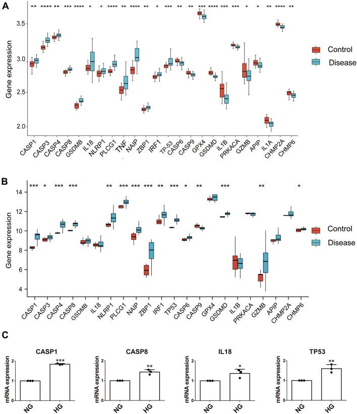 https://cdn.ncbi.nlm.nih.gov/pmc/blobs/50d8/10360355/05d15a7d94e4/12967_2023_4350_Fig3_HTML.jpg