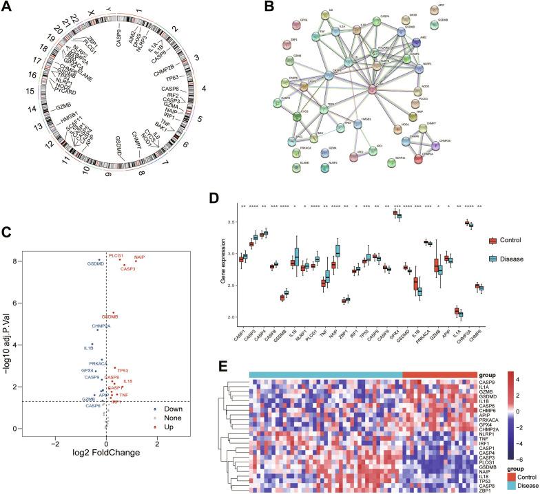 https://cdn.ncbi.nlm.nih.gov/pmc/blobs/50d8/10360355/177349adb059/12967_2023_4350_Fig2_HTML.jpg