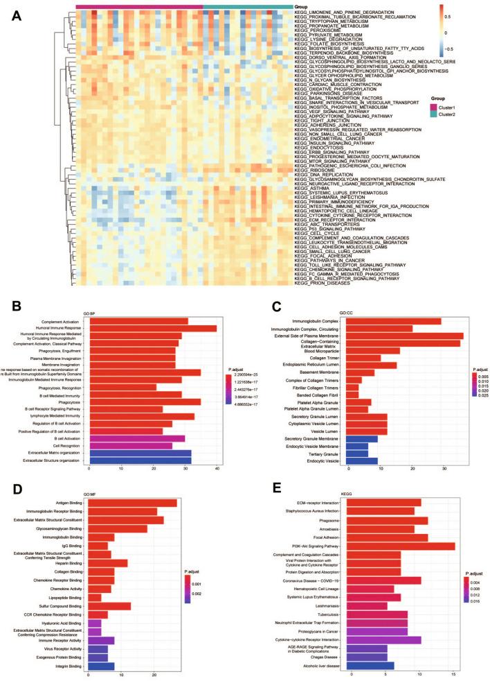 https://cdn.ncbi.nlm.nih.gov/pmc/blobs/50d8/10360355/2030cd1b519a/12967_2023_4350_Fig7_HTML.jpg
