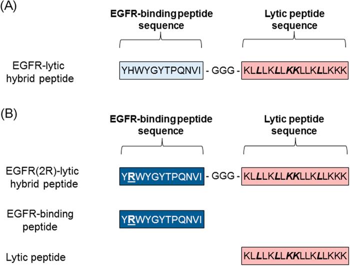 https://cdn.ncbi.nlm.nih.gov/pmc/blobs/50d9/4796678/6928da4a97c7/srep22452-f1.jpg