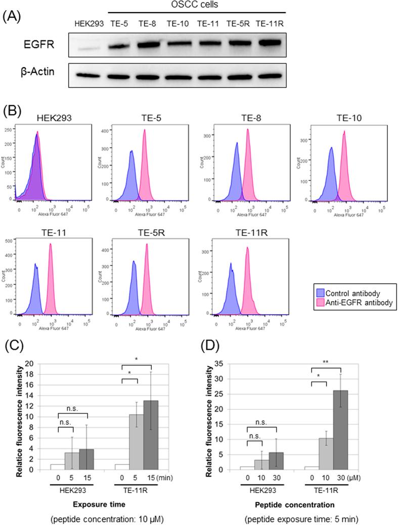 https://cdn.ncbi.nlm.nih.gov/pmc/blobs/50d9/4796678/bffe260b538f/srep22452-f2.jpg
