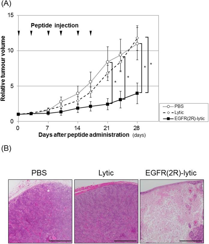 https://cdn.ncbi.nlm.nih.gov/pmc/blobs/50d9/4796678/d293fc47bc9c/srep22452-f5.jpg