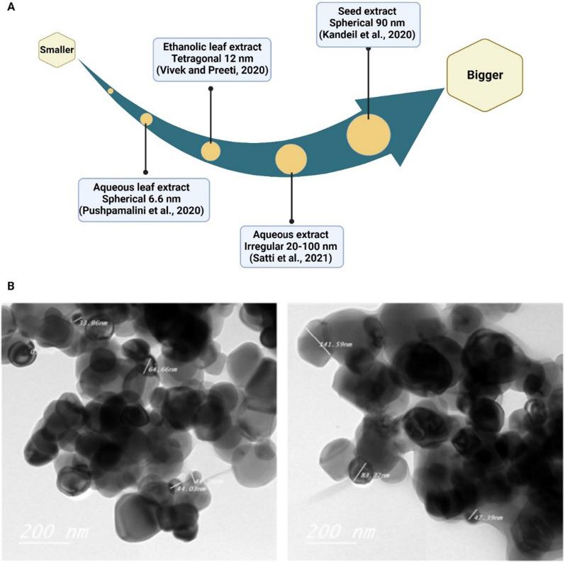https://cdn.ncbi.nlm.nih.gov/pmc/blobs/50da/10877787/021793525082/12951_2024_2332_Fig5_HTML.jpg