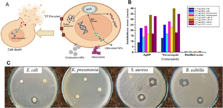 https://cdn.ncbi.nlm.nih.gov/pmc/blobs/50da/10877787/39e8acd82d77/12951_2024_2332_Fig10_HTML.jpg