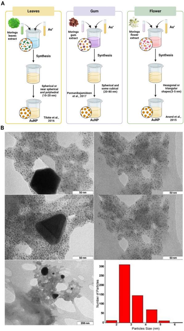 https://cdn.ncbi.nlm.nih.gov/pmc/blobs/50da/10877787/6ddce25856da/12951_2024_2332_Fig4_HTML.jpg