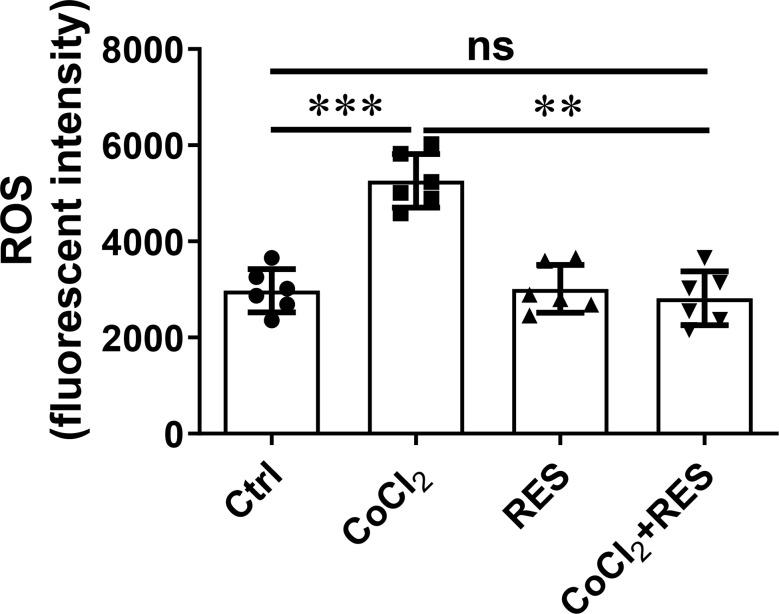 https://cdn.ncbi.nlm.nih.gov/pmc/blobs/50dc/11984057/90405bdc1e20/12883_2025_4171_Fig4_HTML.jpg
