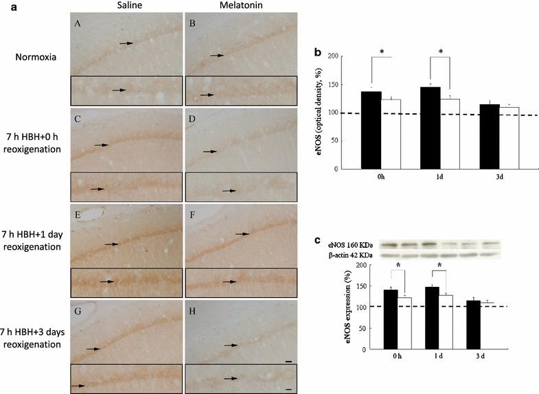 https://cdn.ncbi.nlm.nih.gov/pmc/blobs/50df/4594671/798591fc63d7/12868_2015_199_Fig2_HTML.jpg