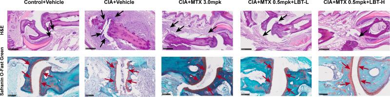 https://cdn.ncbi.nlm.nih.gov/pmc/blobs/50e0/11236762/88cc817bea9f/JIR-17-4389-g0002.jpg