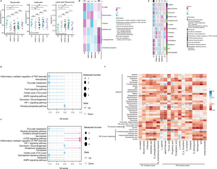 https://cdn.ncbi.nlm.nih.gov/pmc/blobs/50e1/12090774/990bd736c475/msystems.01347-24.f006.jpg