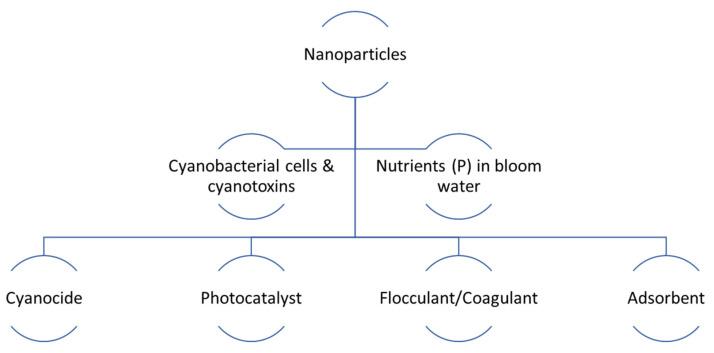 https://cdn.ncbi.nlm.nih.gov/pmc/blobs/50e2/10819728/b04f6243e5c6/toxins-16-00041-g002.jpg