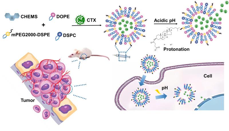 https://cdn.ncbi.nlm.nih.gov/pmc/blobs/50e2/11164093/3e0eb5a8f840/IJN-19-5381-g0001.jpg