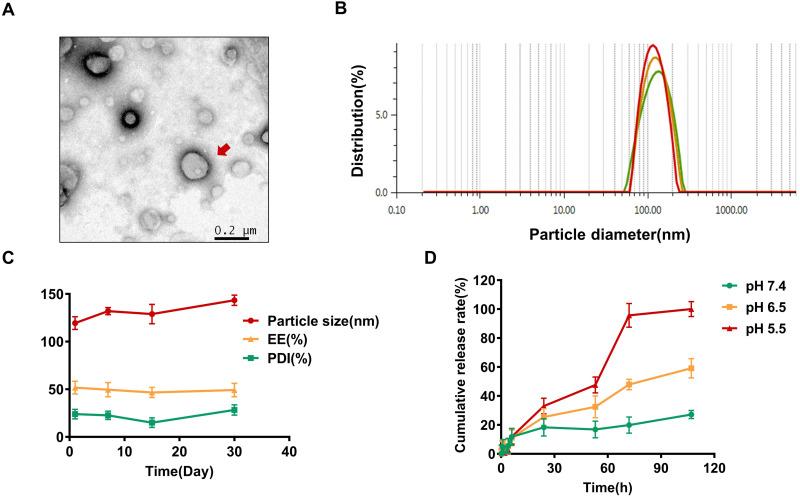 https://cdn.ncbi.nlm.nih.gov/pmc/blobs/50e2/11164093/8c02d2551266/IJN-19-5381-g0002.jpg