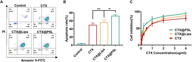 https://cdn.ncbi.nlm.nih.gov/pmc/blobs/50e2/11164093/ff2b0cf71f39/IJN-19-5381-g0004.jpg