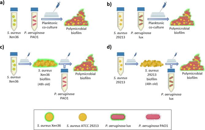 https://cdn.ncbi.nlm.nih.gov/pmc/blobs/50e2/11561256/cb338324c086/41598_2024_79573_Fig8_HTML.jpg