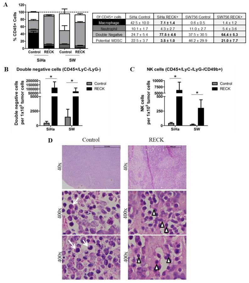 https://cdn.ncbi.nlm.nih.gov/pmc/blobs/50e2/8124470/21b5b8979bd2/cancers-13-02217-g004.jpg
