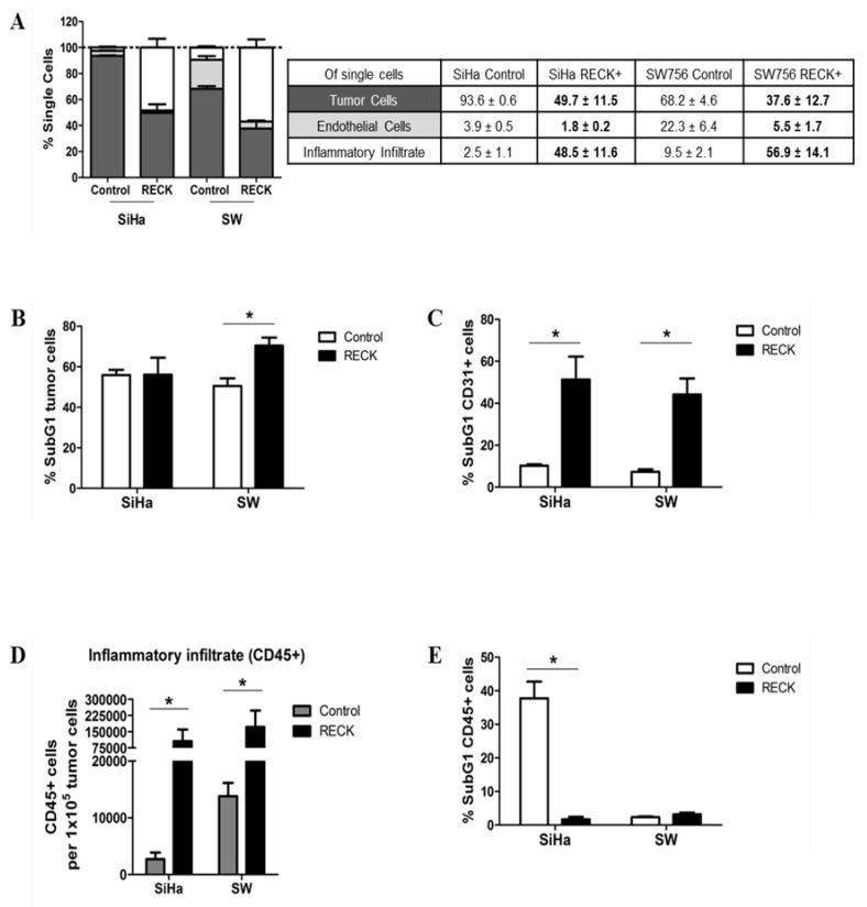 https://cdn.ncbi.nlm.nih.gov/pmc/blobs/50e2/8124470/596d9a84a30a/cancers-13-02217-g003.jpg