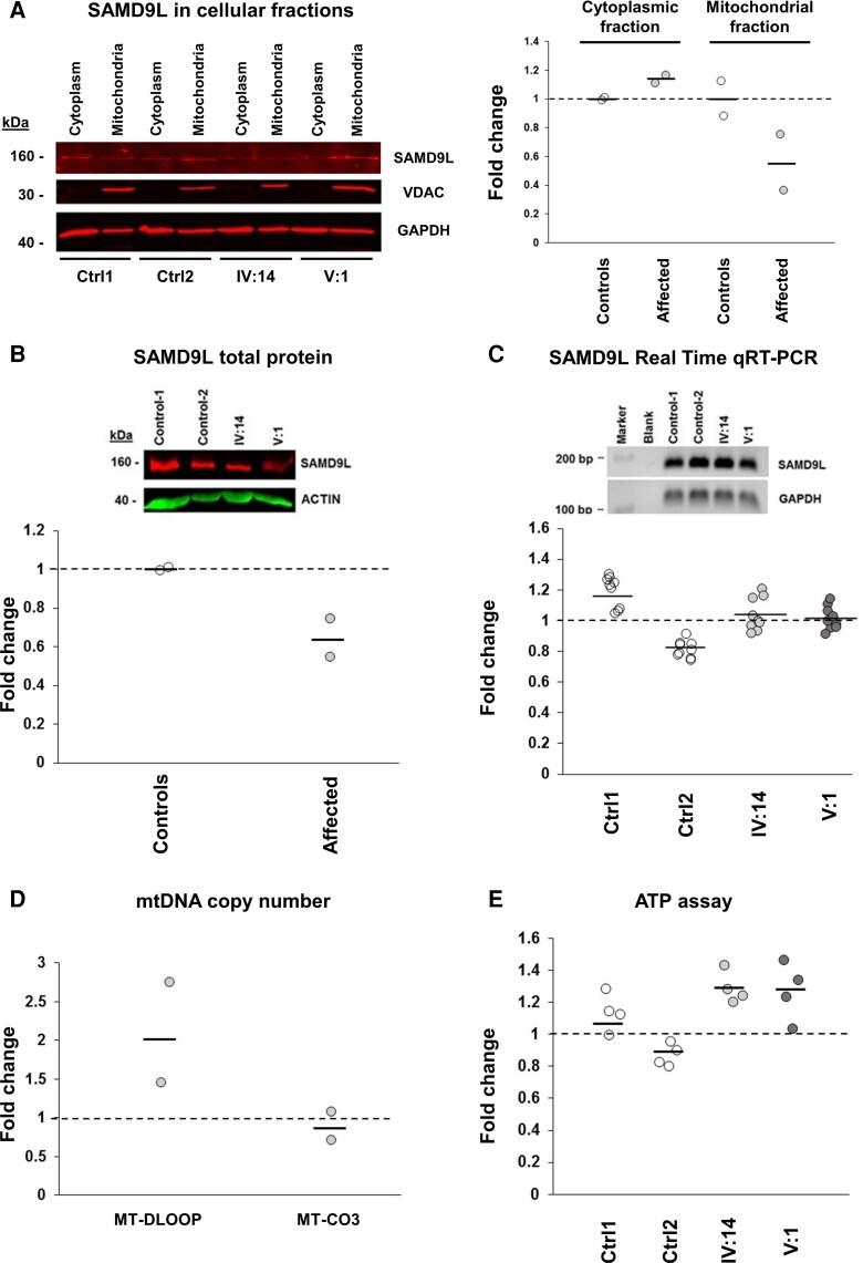https://cdn.ncbi.nlm.nih.gov/pmc/blobs/50e4/8928420/78ed03224c97/fcac030f5.jpg