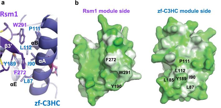 https://cdn.ncbi.nlm.nih.gov/pmc/blobs/50e5/9586977/7928b42f8104/41598_2022_22183_Fig3_HTML.jpg