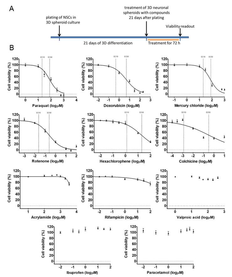 https://cdn.ncbi.nlm.nih.gov/pmc/blobs/50ea/7290365/f23596dab366/cells-09-01122-g005.jpg