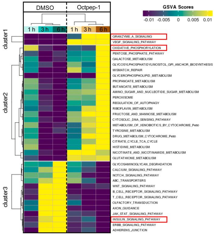 https://cdn.ncbi.nlm.nih.gov/pmc/blobs/50eb/7918145/4fbb5cfccf53/toxins-13-00146-g005.jpg
