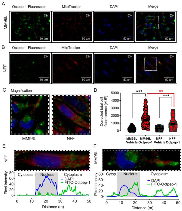 https://cdn.ncbi.nlm.nih.gov/pmc/blobs/50eb/7918145/6ca16ddfc2e4/toxins-13-00146-g001.jpg