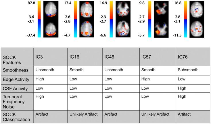 https://cdn.ncbi.nlm.nih.gov/pmc/blobs/50ed/3706880/25516895d815/fnhum-07-00343-g006.jpg