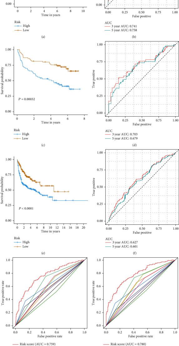 https://cdn.ncbi.nlm.nih.gov/pmc/blobs/50f0/8205595/9317e1707514/JIR2021-5564568.002.jpg