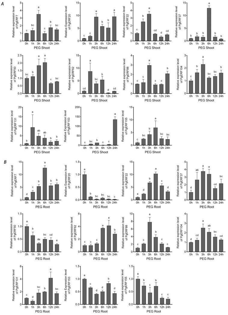 https://cdn.ncbi.nlm.nih.gov/pmc/blobs/50f3/10930990/1867cd14b030/ijms-25-02470-g008.jpg