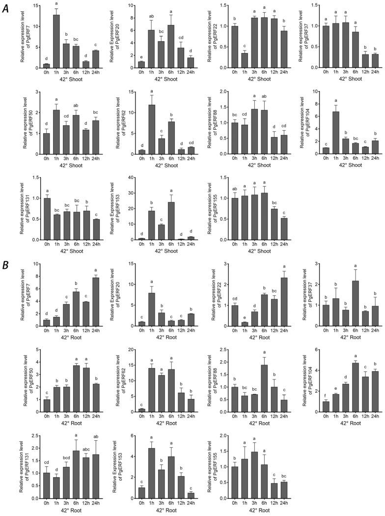 https://cdn.ncbi.nlm.nih.gov/pmc/blobs/50f3/10930990/6853133e4868/ijms-25-02470-g010.jpg