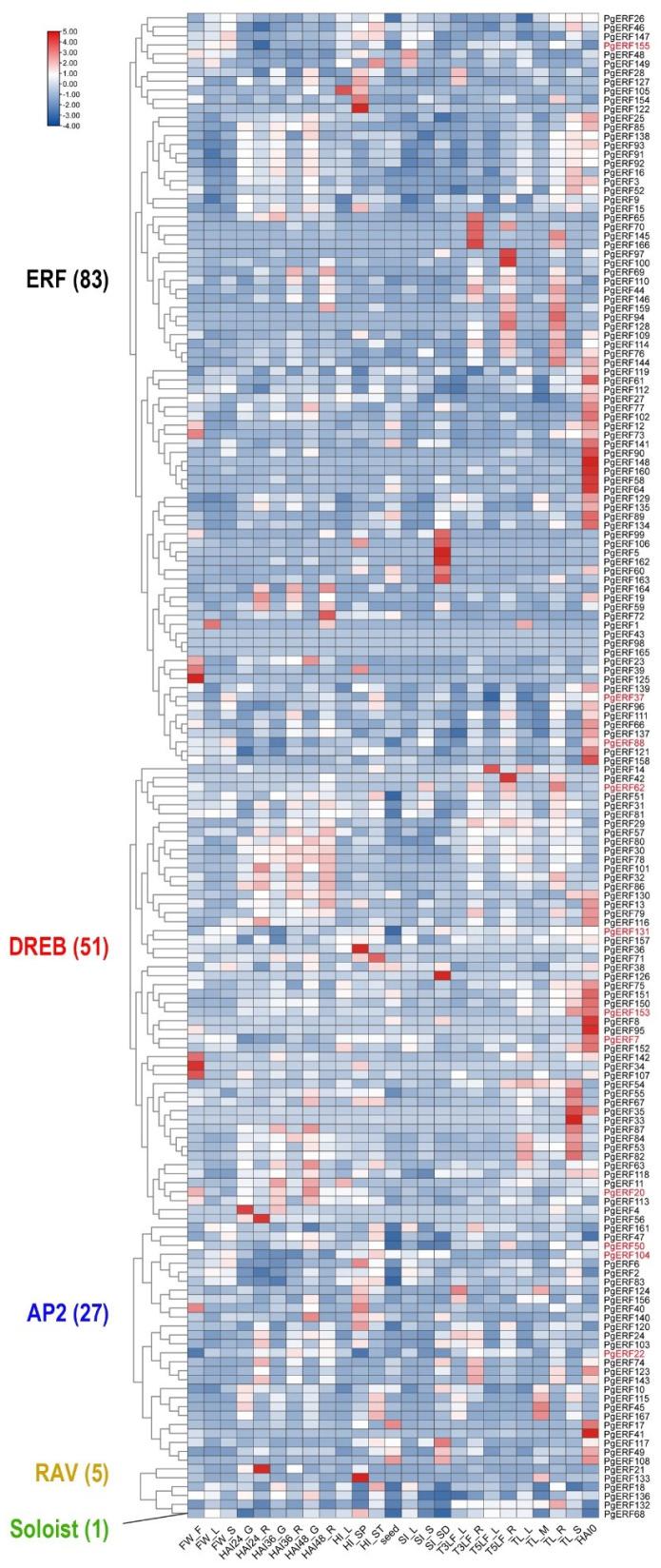 https://cdn.ncbi.nlm.nih.gov/pmc/blobs/50f3/10930990/d14ca10d2a78/ijms-25-02470-g004.jpg