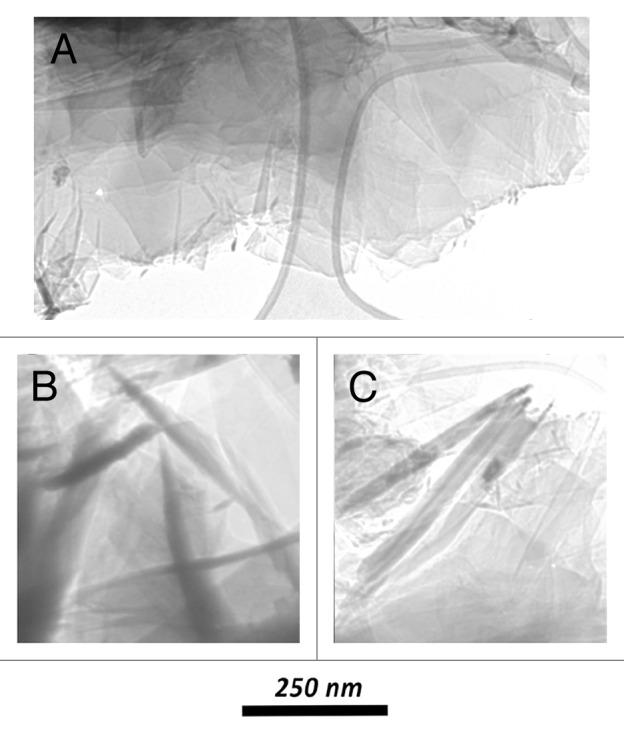 https://cdn.ncbi.nlm.nih.gov/pmc/blobs/50f3/4091123/1bf0502dfde3/biom-4-e28537-g2.jpg