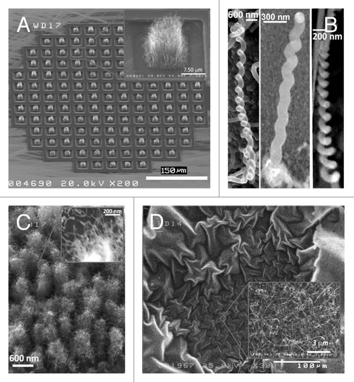 https://cdn.ncbi.nlm.nih.gov/pmc/blobs/50f3/4091123/253ff7dd207b/biom-4-e28537-g1.jpg
