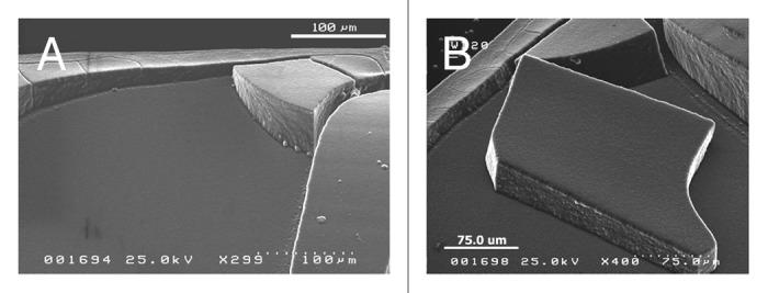 https://cdn.ncbi.nlm.nih.gov/pmc/blobs/50f3/4091123/36145aa75133/biom-4-e28537-g3.jpg