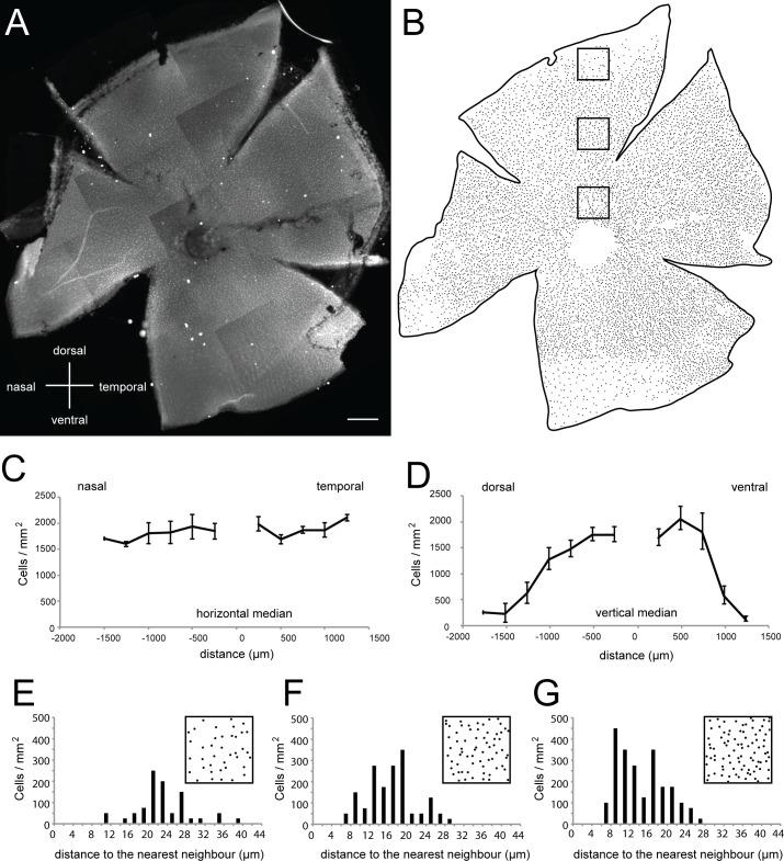 https://cdn.ncbi.nlm.nih.gov/pmc/blobs/50f3/5614429/5c92dc9144d7/pone.0185107.g003.jpg
