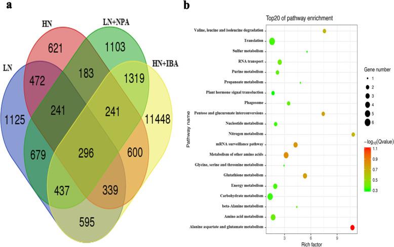https://cdn.ncbi.nlm.nih.gov/pmc/blobs/50f5/7247184/0bfab1435887/12870_2020_2448_Fig8_HTML.jpg
