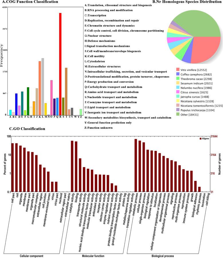 https://cdn.ncbi.nlm.nih.gov/pmc/blobs/50f5/7247184/c30661050a9a/12870_2020_2448_Fig6_HTML.jpg