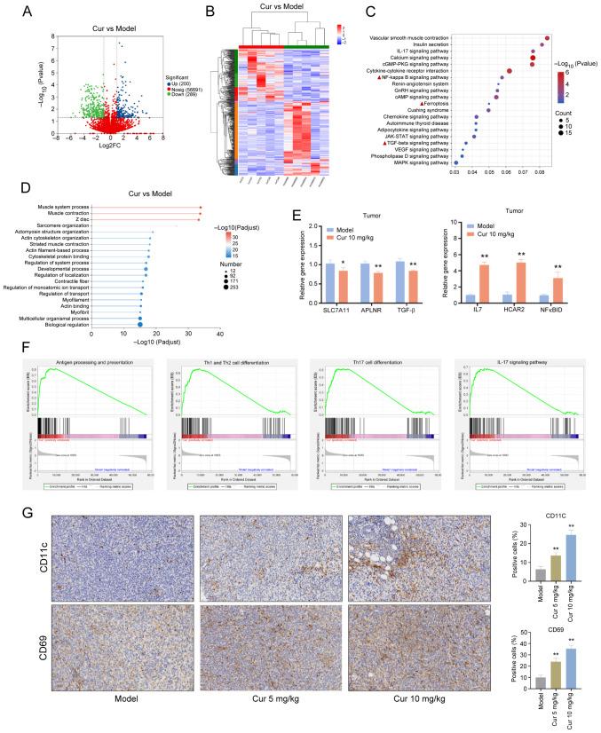 https://cdn.ncbi.nlm.nih.gov/pmc/blobs/50f8/12121984/1ef2d8ce26ce/ijmm-56-01-05552-g05.jpg