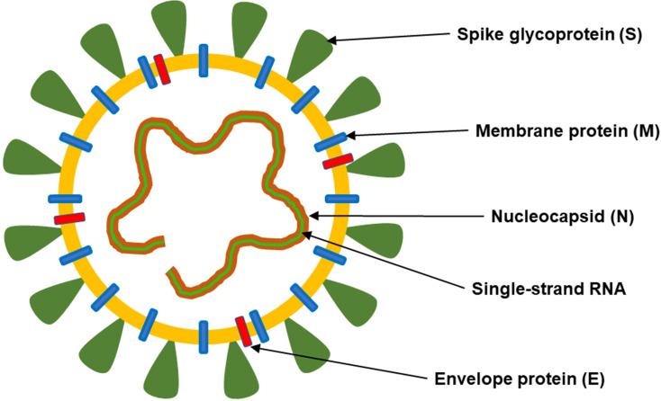 https://cdn.ncbi.nlm.nih.gov/pmc/blobs/50f8/7778607/b4624d8919d6/thnov11p1690g001.jpg