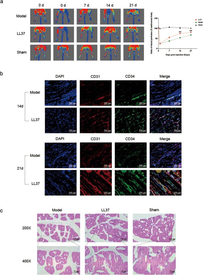 https://cdn.ncbi.nlm.nih.gov/pmc/blobs/50f9/12055537/39cc98ab9efc/fphar-16-1587351-g002.jpg