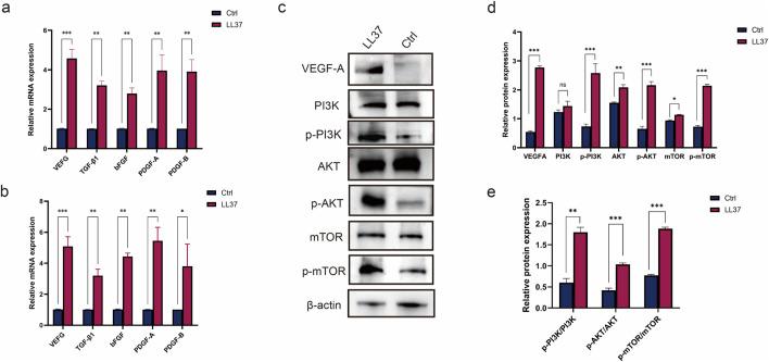 https://cdn.ncbi.nlm.nih.gov/pmc/blobs/50f9/12055537/517dffd18e6f/fphar-16-1587351-g003.jpg