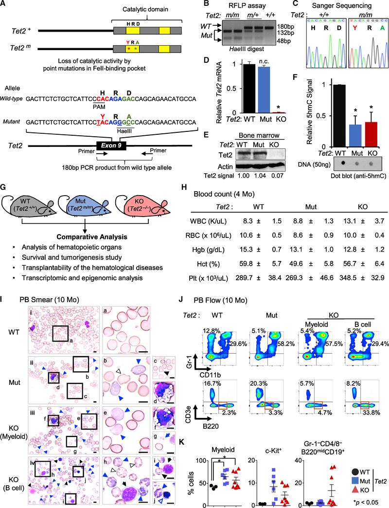 https://cdn.ncbi.nlm.nih.gov/pmc/blobs/50f9/6750732/1806de4b365d/nihms-1539482-f0002.jpg