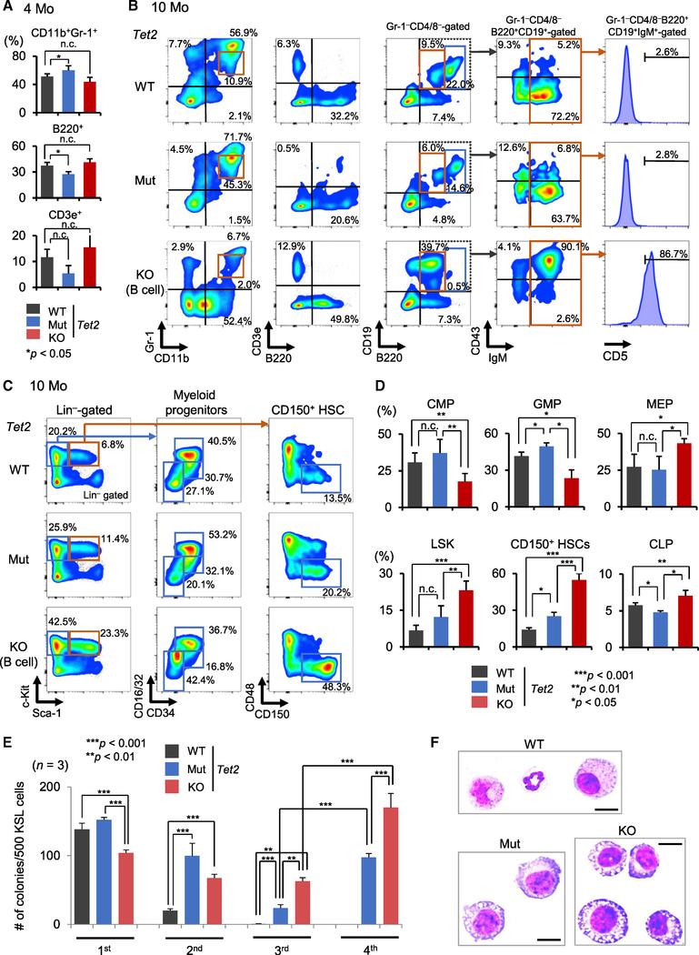https://cdn.ncbi.nlm.nih.gov/pmc/blobs/50f9/6750732/83e75a34dd26/nihms-1539482-f0003.jpg