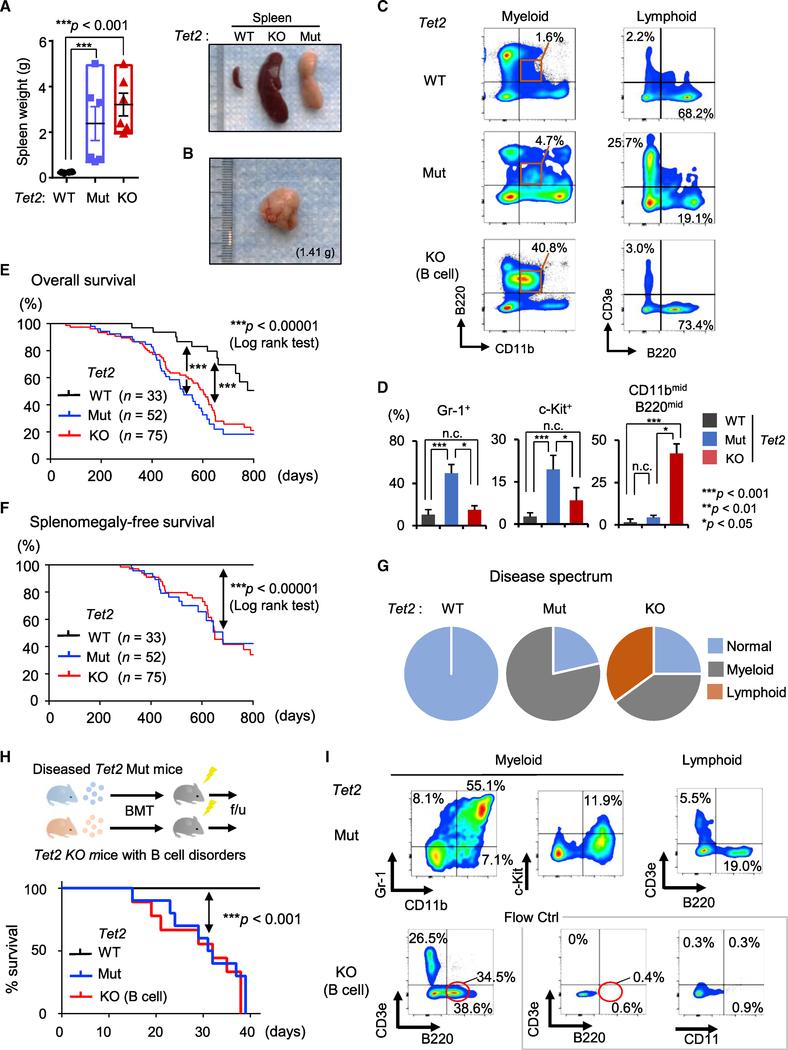 https://cdn.ncbi.nlm.nih.gov/pmc/blobs/50f9/6750732/ca04301a078e/nihms-1539482-f0004.jpg