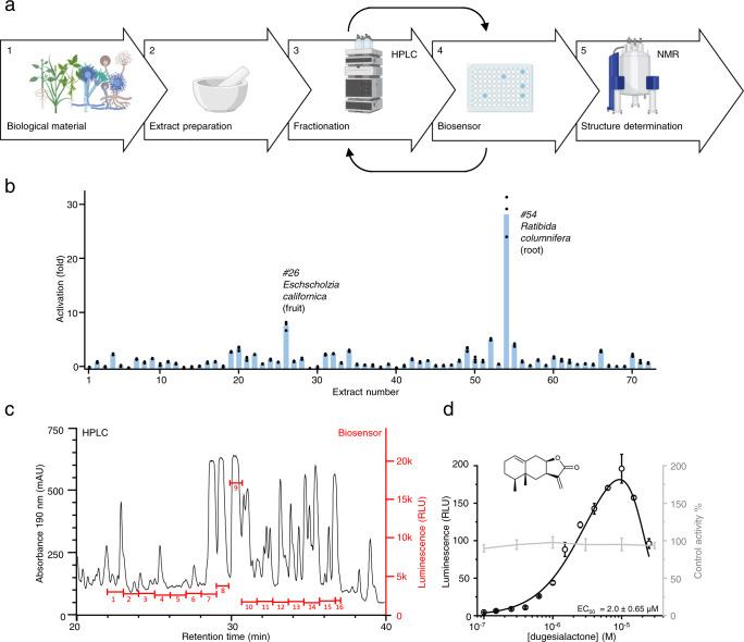 https://cdn.ncbi.nlm.nih.gov/pmc/blobs/50fc/9237071/5fcc3a7c8e6e/41467_2022_31357_Fig6_HTML.jpg