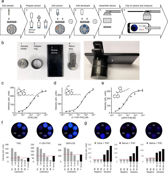 https://cdn.ncbi.nlm.nih.gov/pmc/blobs/50fc/9237071/e18c2ee6282d/41467_2022_31357_Fig8_HTML.jpg