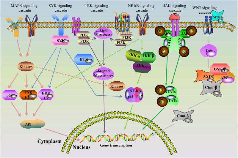 https://cdn.ncbi.nlm.nih.gov/pmc/blobs/50fd/8733656/83481c4f3f02/fphar-12-765435-g003.jpg