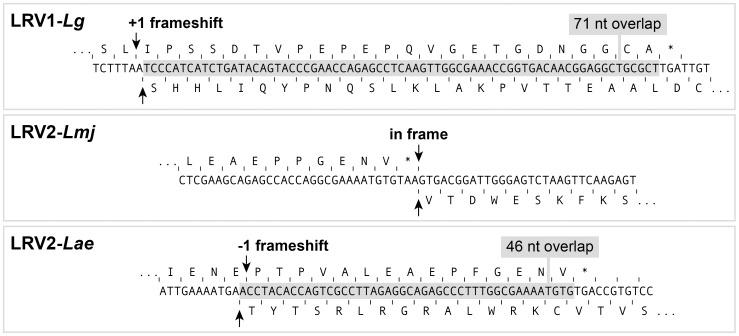 https://cdn.ncbi.nlm.nih.gov/pmc/blobs/50fe/3998932/60a88c8b6d55/pntd.0002836.g005.jpg
