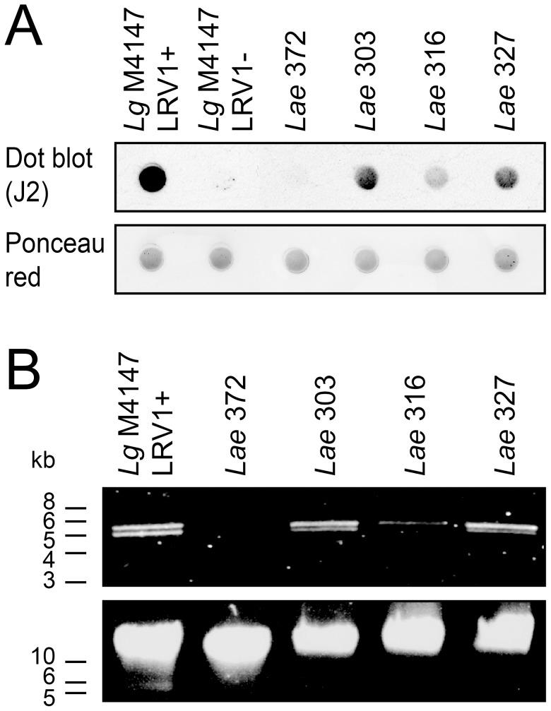 https://cdn.ncbi.nlm.nih.gov/pmc/blobs/50fe/3998932/9fa88b8fef9a/pntd.0002836.g001.jpg