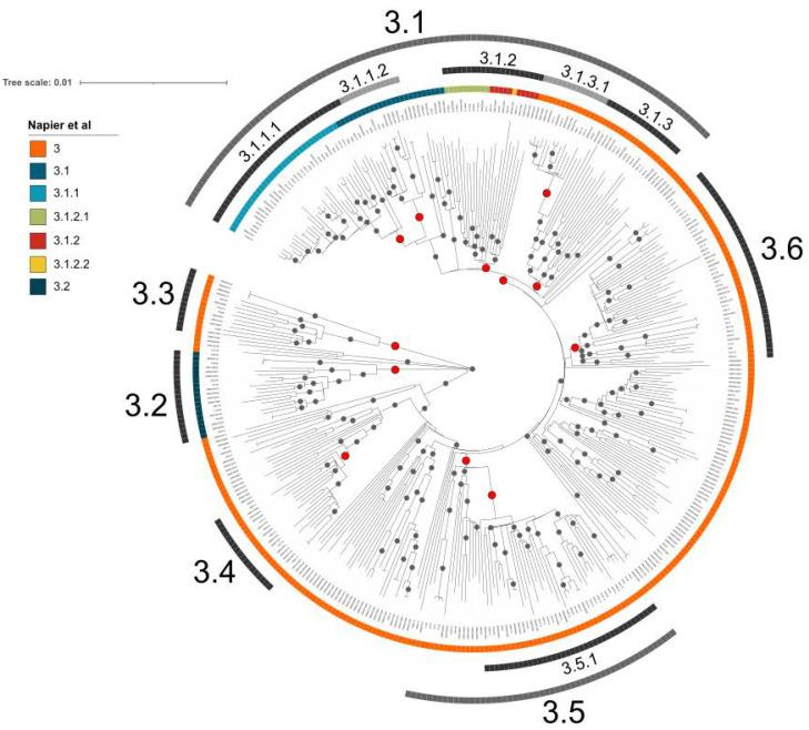https://cdn.ncbi.nlm.nih.gov/pmc/blobs/50fe/9222951/2b39535b9f07/genes-13-00990-g004.jpg